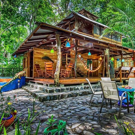 Congo Bongo Ecovillage Costa Rica Puerto Viejo de Talamanca Eksteriør bilde