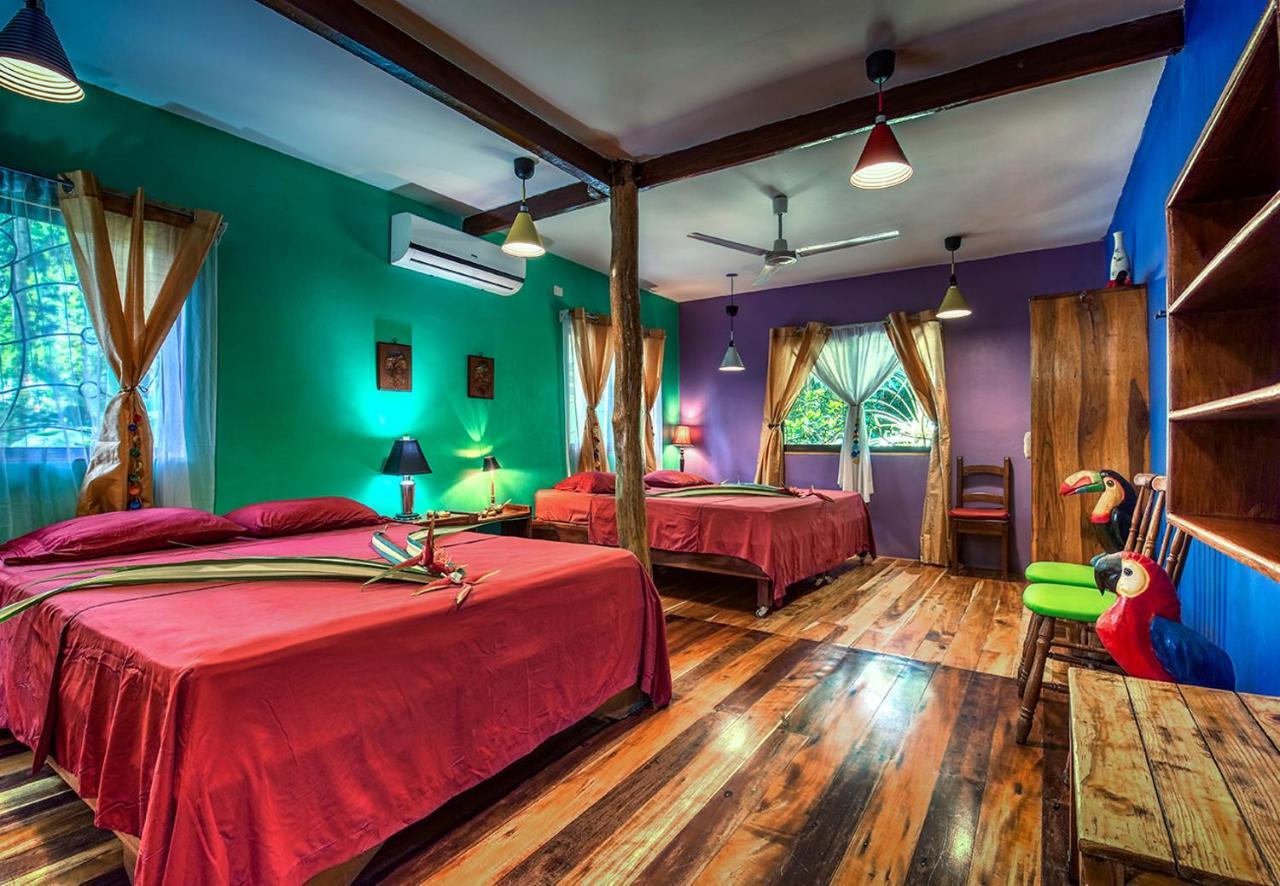 Congo Bongo Ecovillage Costa Rica Puerto Viejo de Talamanca Eksteriør bilde