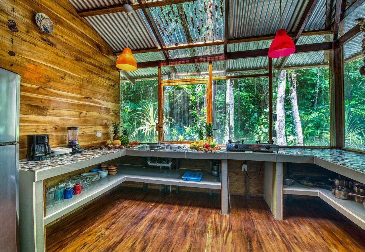 Congo Bongo Ecovillage Costa Rica Puerto Viejo de Talamanca Eksteriør bilde