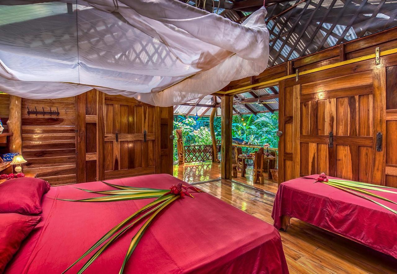 Congo Bongo Ecovillage Costa Rica Puerto Viejo de Talamanca Eksteriør bilde