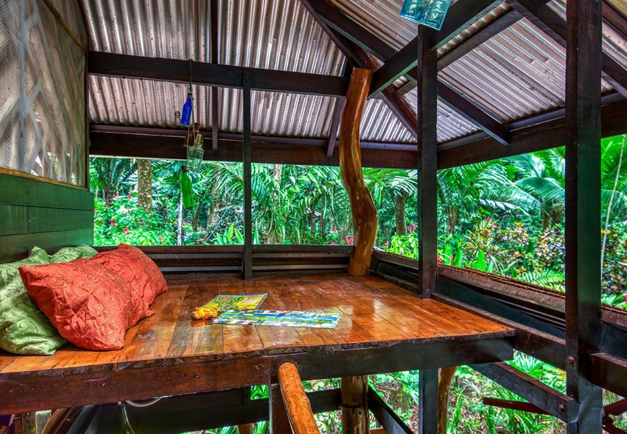 Congo Bongo Ecovillage Costa Rica Puerto Viejo de Talamanca Eksteriør bilde