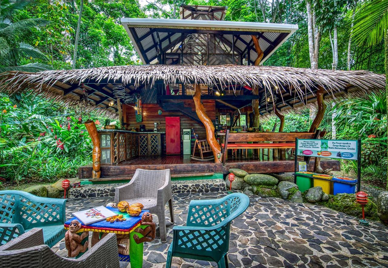 Congo Bongo Ecovillage Costa Rica Puerto Viejo de Talamanca Eksteriør bilde