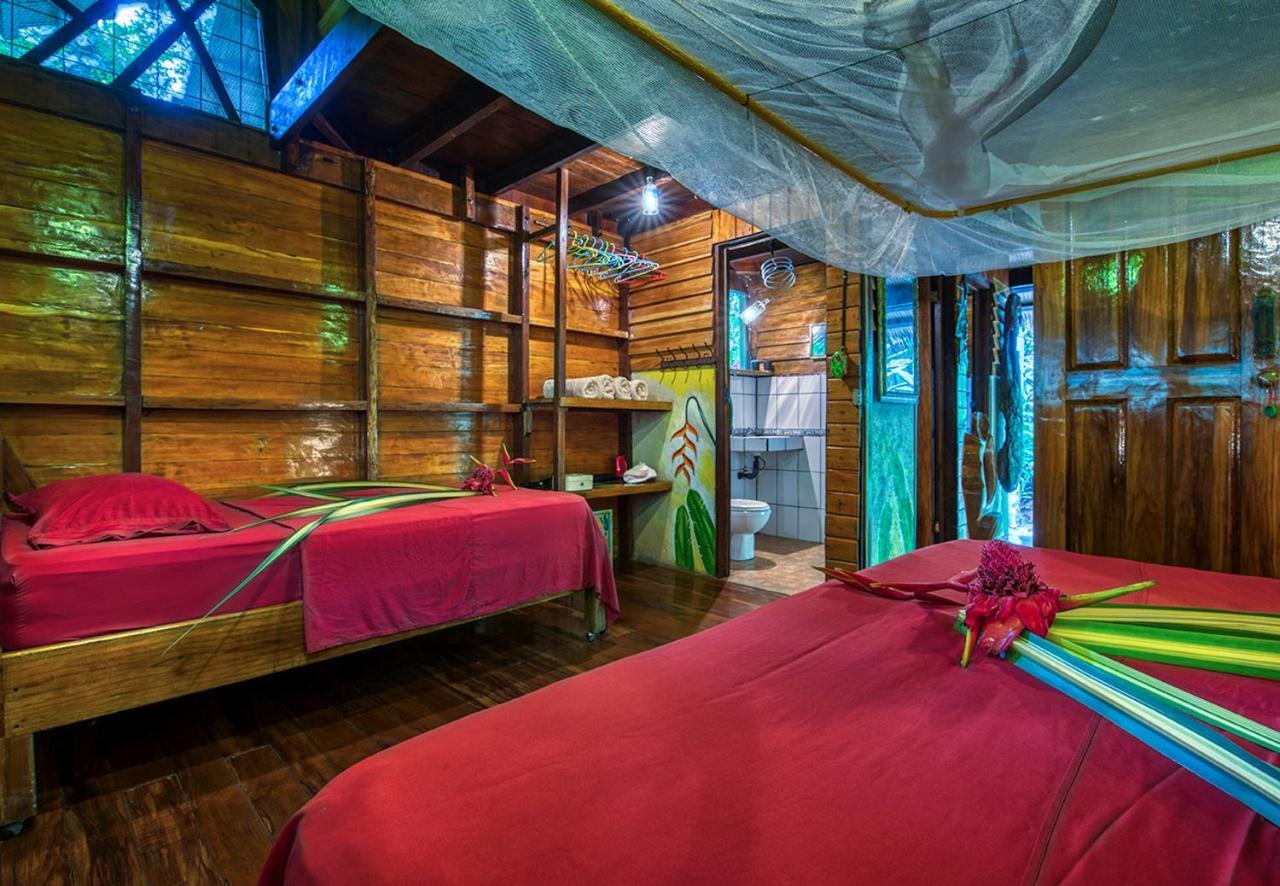 Congo Bongo Ecovillage Costa Rica Puerto Viejo de Talamanca Eksteriør bilde