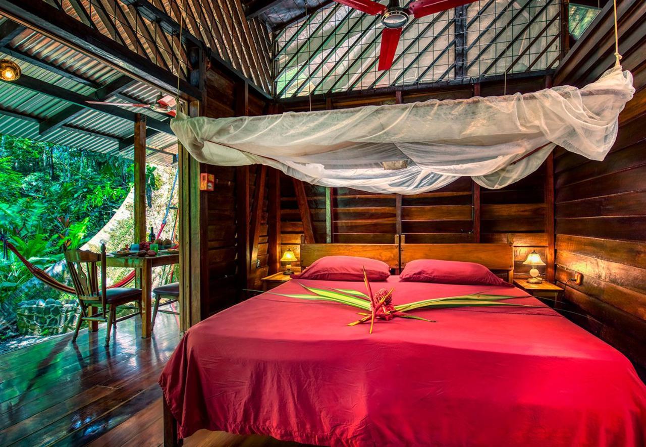 Congo Bongo Ecovillage Costa Rica Puerto Viejo de Talamanca Eksteriør bilde