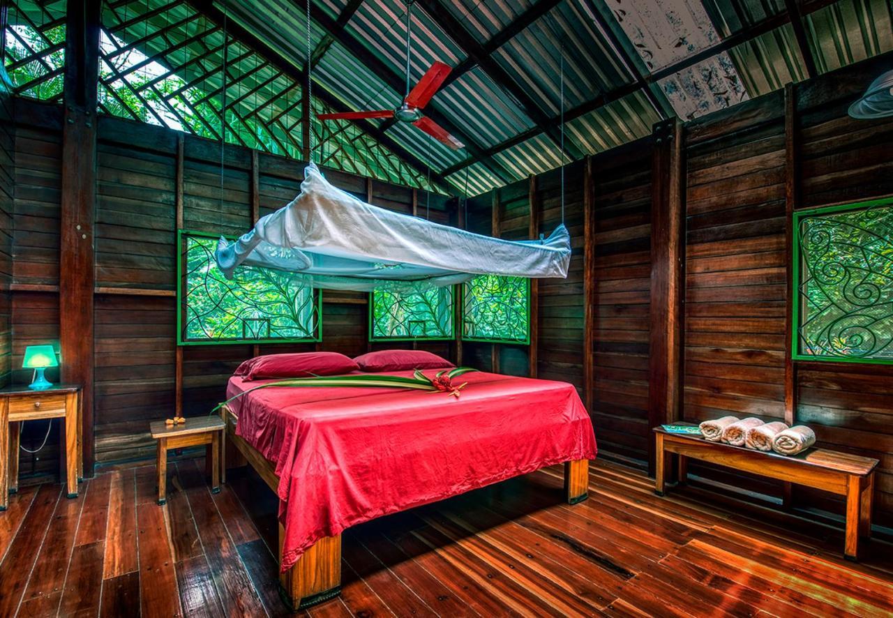 Congo Bongo Ecovillage Costa Rica Puerto Viejo de Talamanca Eksteriør bilde