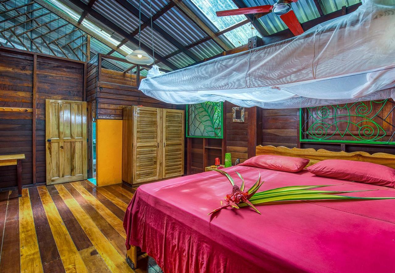 Congo Bongo Ecovillage Costa Rica Puerto Viejo de Talamanca Eksteriør bilde