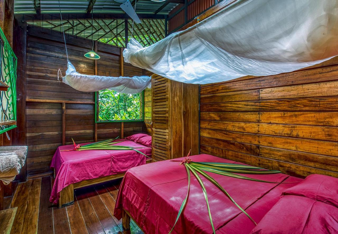 Congo Bongo Ecovillage Costa Rica Puerto Viejo de Talamanca Eksteriør bilde